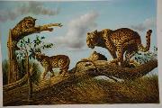 unknow artist Lions 030 oil painting on canvas